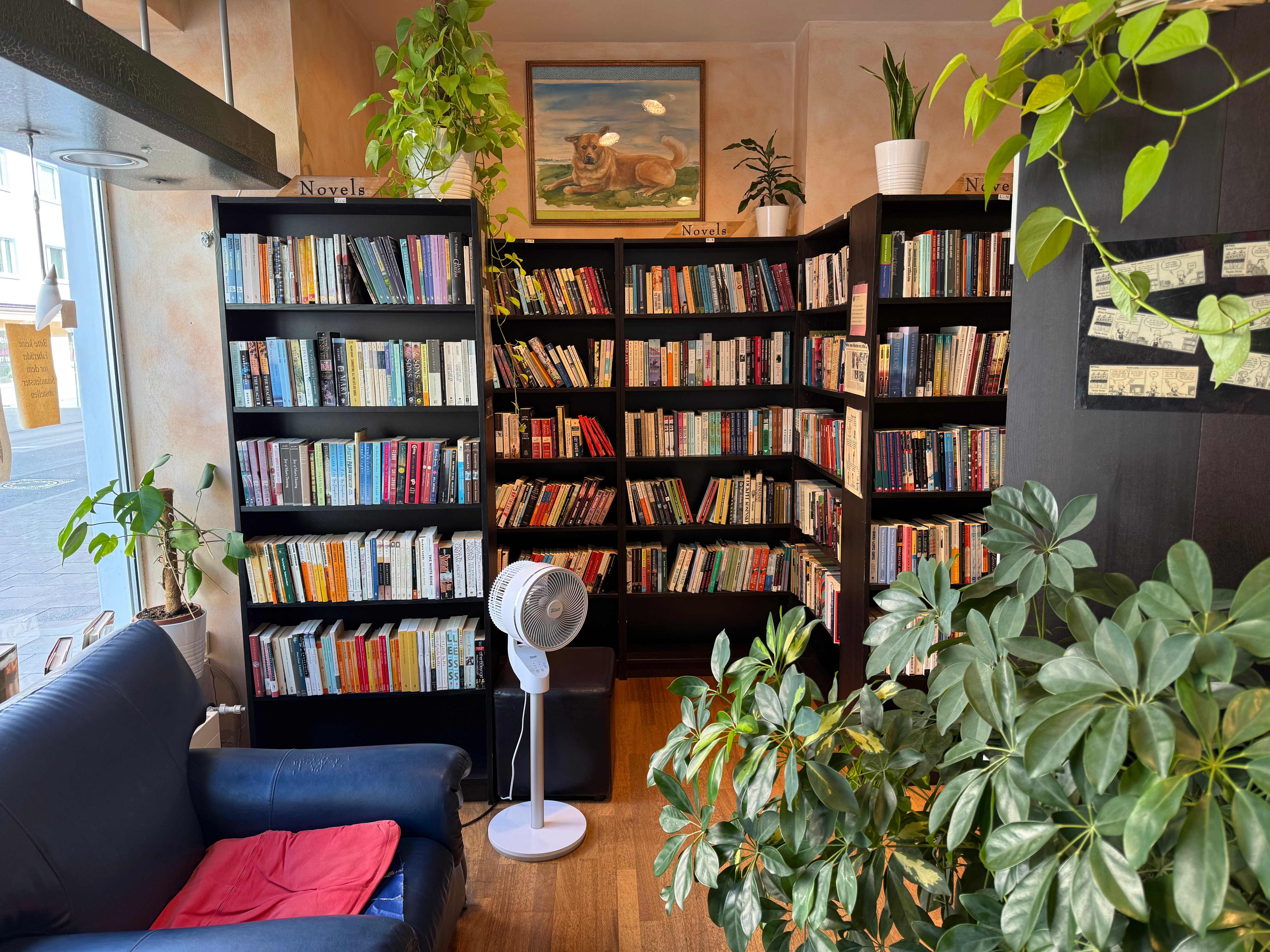 Where the Old Books Are