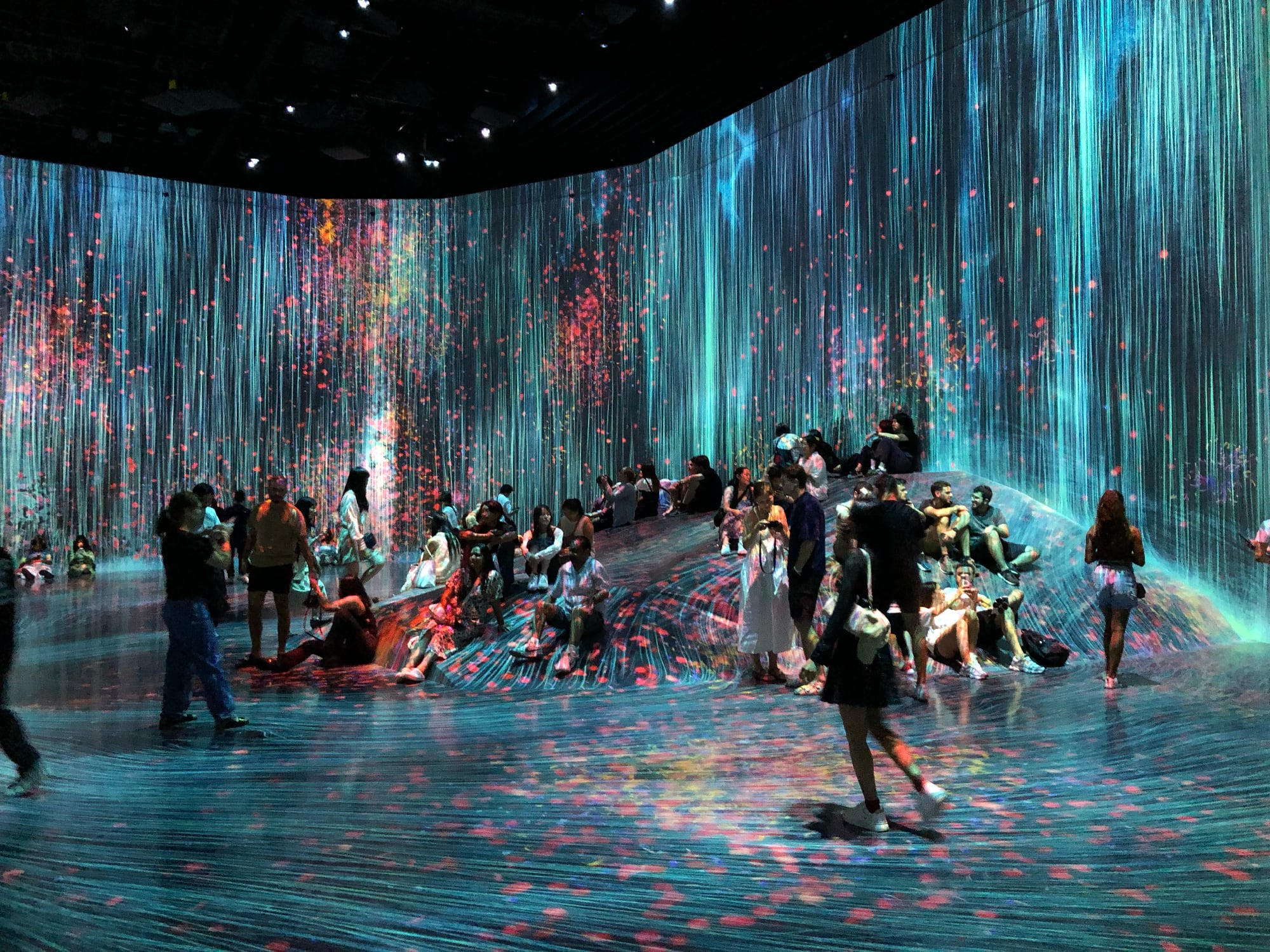 Last Night I Dreamt of Flowers